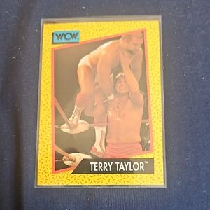 1991 Impel WCW - Terry Taylor #70